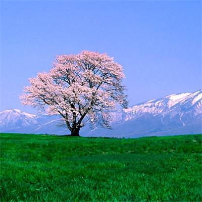 万亿重庆银行增员、涨薪，杨秀明冲了一把
